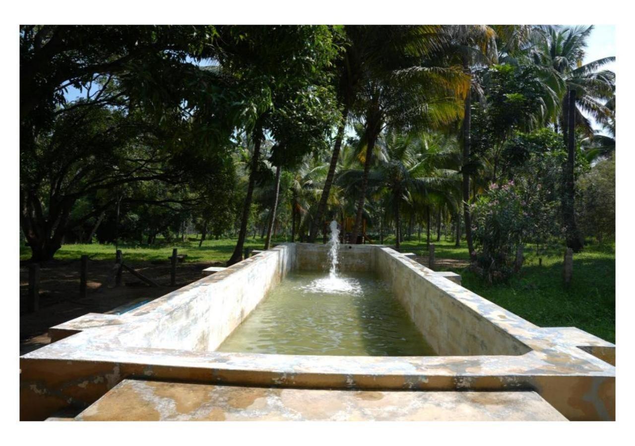 Down To Earth Farmstay By Laksem Anaimalai Exterior foto